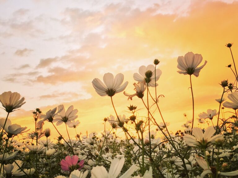 Lieferinformationen für die Feiertage im Mai